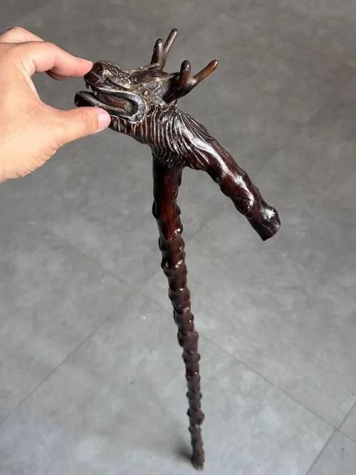 哪種材質(zhì)的龍頭拐杖最耐用？ 哪種材質(zhì)的龍頭拐杖最耐用？ 龍魚百科 第5張