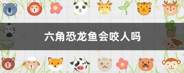 六角恐龍魚的危害，六角恐龍魚可能帶來的危害