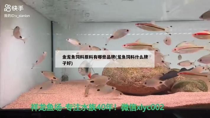 金龍魚飼料原料供應商（金龍魚飼料原料供應商介紹） 金龍魚飼料原料供應商（金龍魚飼料原料供應商介紹） 龍魚百科 第2張