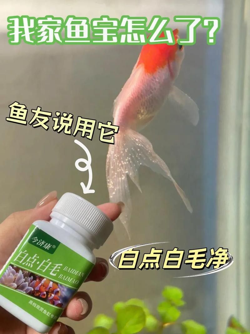 雷龍魚白點病圖片