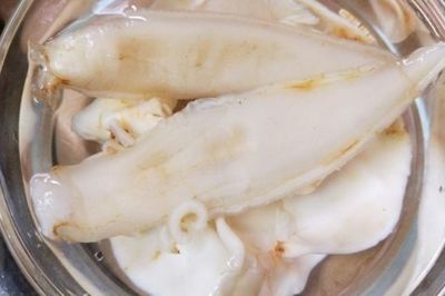 金龍魚膠的做法：金龍魚膠品種之金龍魚膠和金龍魚膠的烹調全解知乎專欄