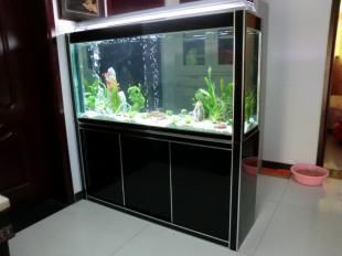 南昌魚缸定做定制（南昌魚缸定做哪家口碑好）