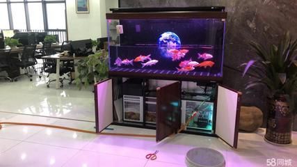 南昌魚缸定做定制（南昌魚缸定做哪家口碑好）