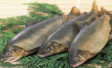龍魚專用燈管和普通燈管啥區別：龍魚燈管應該放在哪個部位好看？打造完美水族箱照明布局指南 龍魚專用燈管和普通燈管啥區別：龍魚燈管應該放在哪個部位好看？打造完美水族箱照明布局指南 龍魚百科 第2張