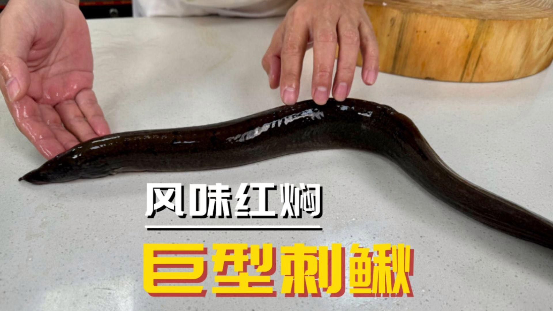 推薦一些龍鰍魚的食譜