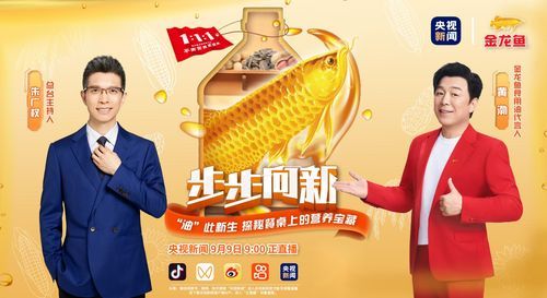 金龍魚的代言人是誰啊，品金龍魚品牌代言人的演變與影響
