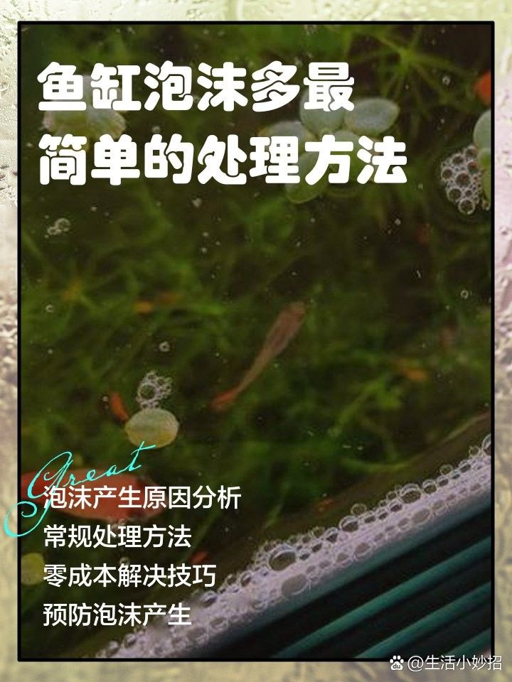 龍魚之巔論壇濾材倉有泡沫