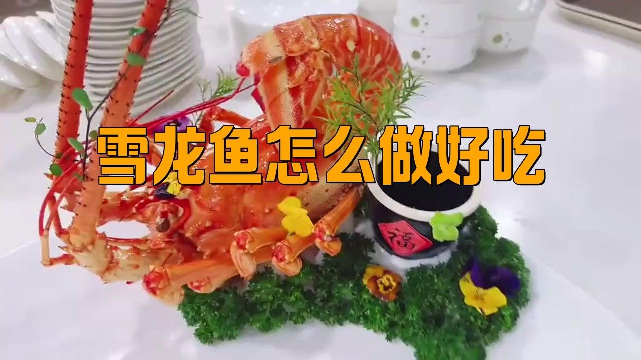 天山雪龍魚做法大全 天山雪龍魚做法大全 龍魚百科 第2張