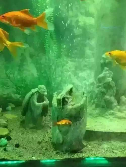 東海龍宮御龍魚缸怎么樣