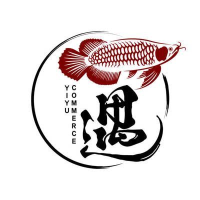 龍魚批發(fā)市場(chǎng)在哪里進(jìn)貨（龍魚批發(fā)市場(chǎng)的進(jìn)貨地點(diǎn)）