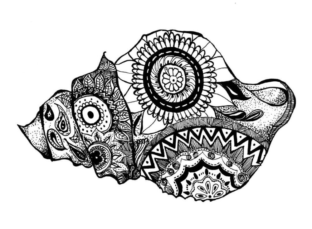 金龍魚黑白畫怎么畫：金龍魚黑白畫怎么畫怎么畫金龍魚黑白畫怎么畫 金龍魚黑白畫怎么畫：金龍魚黑白畫怎么畫怎么畫金龍魚黑白畫怎么畫 龍魚百科 第3張