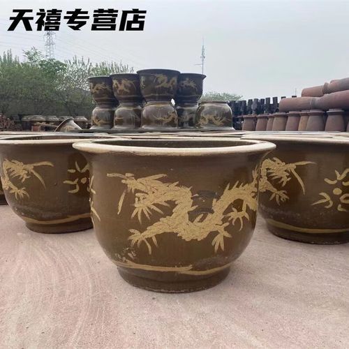 能推薦幾款90cm龍缸嗎？