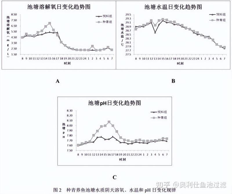 金龍魚需要什么樣的過濾系統 金龍魚需要什么樣的過濾系統 龍魚百科 第10張