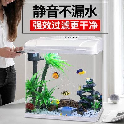 龍魚(yú)用什么過(guò)濾最好：如何選擇龍魚(yú)過(guò)濾器