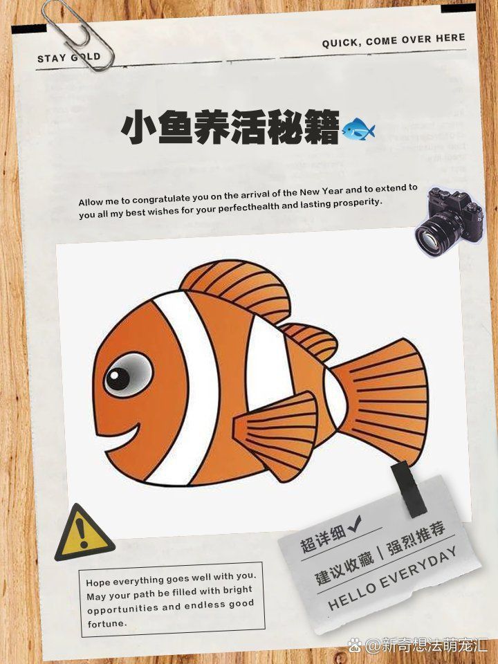 魚鼓肚子炸鱗還有救嗎
