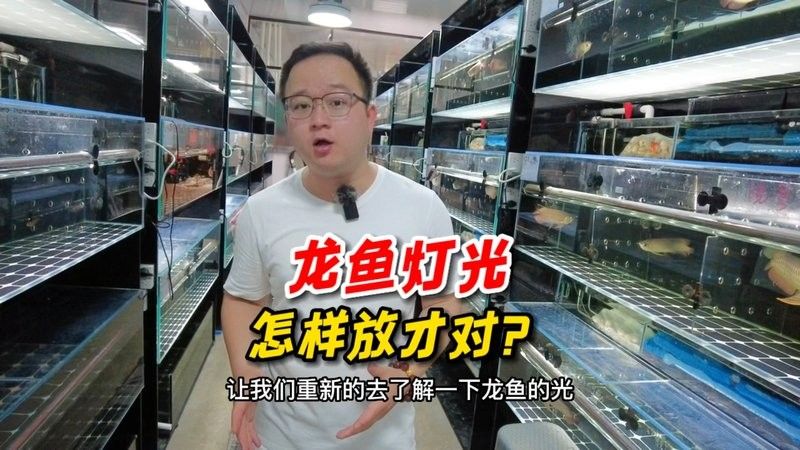 龍魚缸用什么燈好一點呢