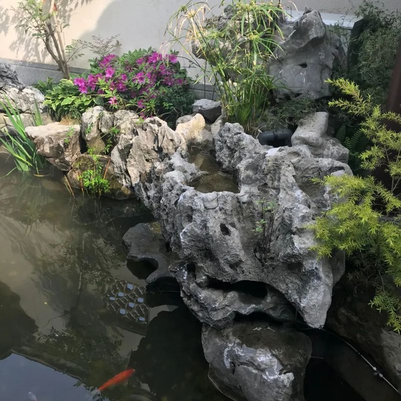 如何設置巖石造景分隔領地？ 如何設置巖石造景分隔領地？ 龍魚百科 第2張