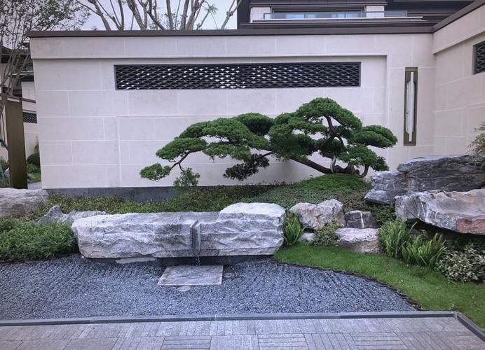 如何設置巖石造景分隔領地？ 如何設置巖石造景分隔領地？ 龍魚百科 第5張