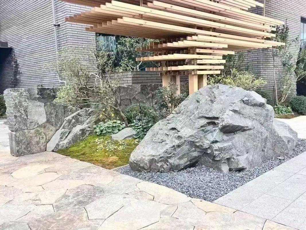 如何設置巖石造景分隔領地？ 如何設置巖石造景分隔領地？ 龍魚百科 第7張