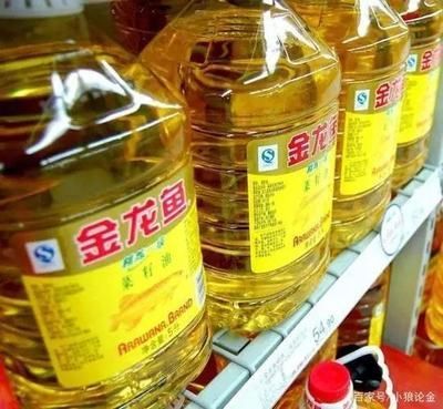 金龍魚尾部下沉怎么回事：金龍魚尾部下沉可能是由于多種原因引起的，金龍魚尾部下沉怎么回事 金龍魚尾部下沉怎么回事：金龍魚尾部下沉可能是由于多種原因引起的，金龍魚尾部下沉怎么回事 龍魚百科 第1張