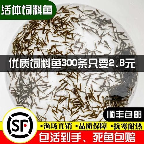 龍魚飼料配方大全表圖