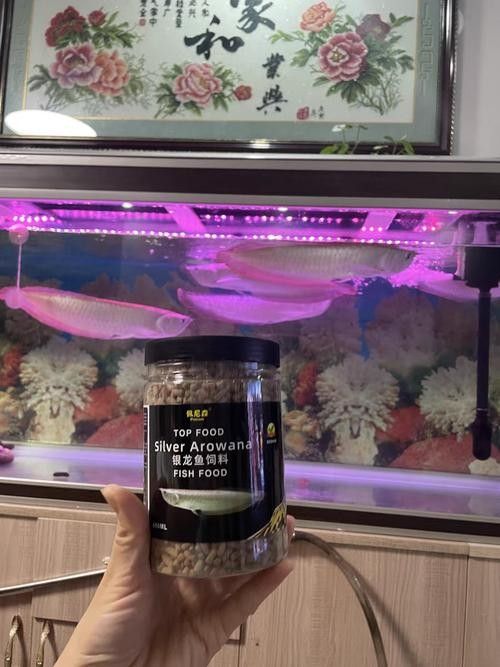 龍魚飼料配方大全表圖