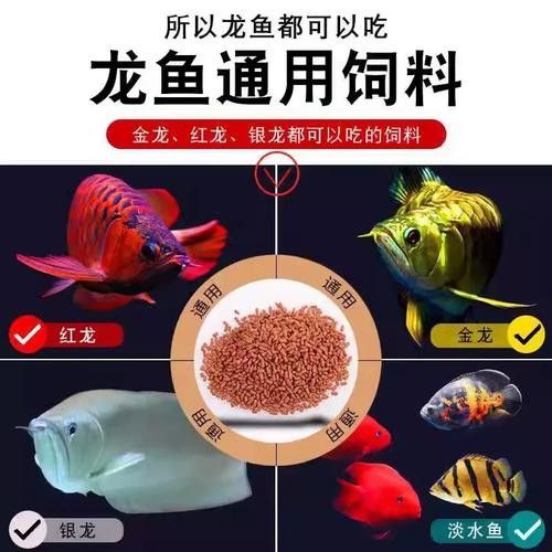 龍魚飼料配方大全表圖