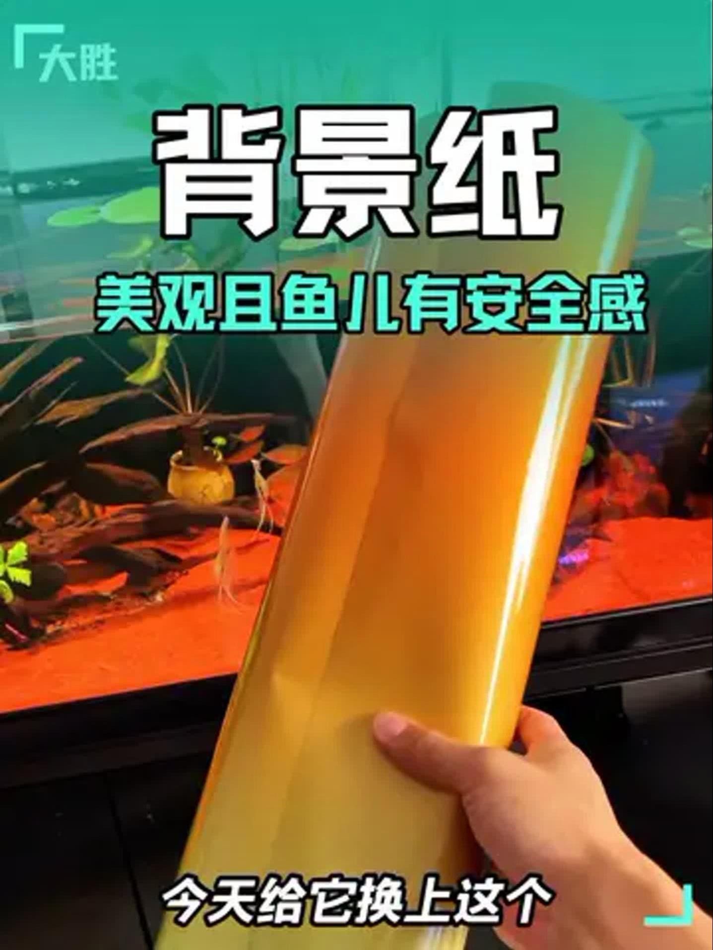 龍魚缸背景圖更換步驟 龍魚缸背景圖更換步驟 龍魚百科 第2張