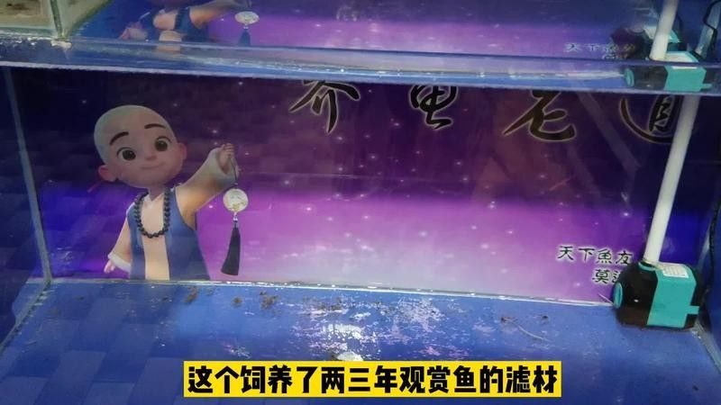 龍魚缸背景圖更換步驟 龍魚缸背景圖更換步驟 龍魚百科 第5張