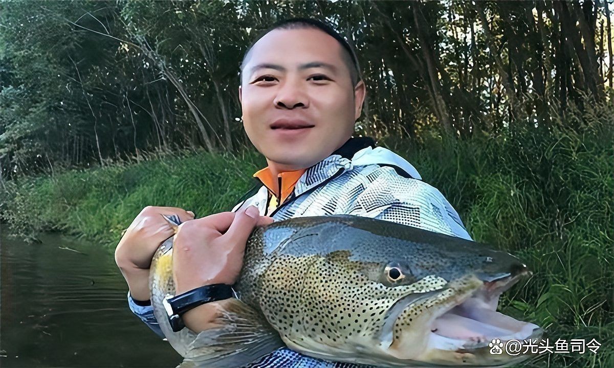 金龍魚和黑魚哪個(gè)厲害