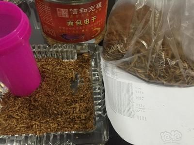龍魚只吃蝦不吃小魚：龍魚只吃蝦不吃小魚可以通過以下幾種方法改變它的飲食習(xí)慣