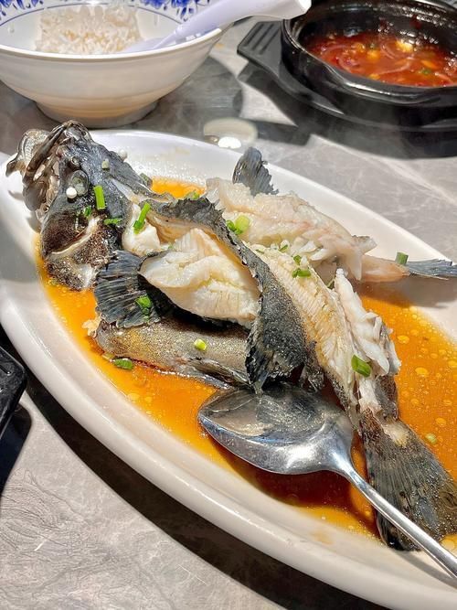 老虎斑魚(yú)的圖片