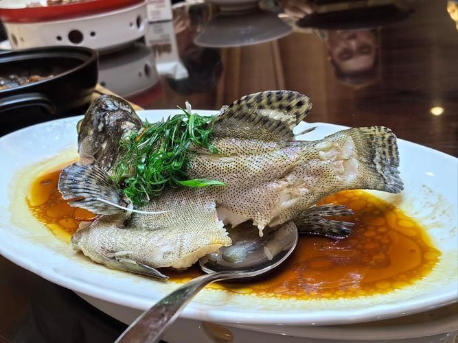 老虎斑魚(yú)的圖片