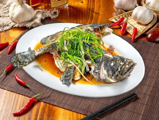 老虎斑魚(yú)的圖片