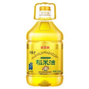金龍魚怎么樣，如何挑選健康的金龍魚觀賞魚