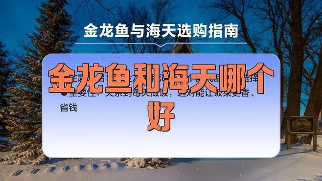 海天金龍魚
