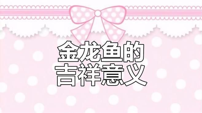 金龍魚又名