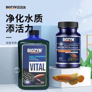 龍魚益生菌和維他命管用嗎（龍魚益生菌對龍魚的健康有多方面好處龍魚益生菌和維他命管用嗎）