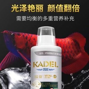 龍魚益生菌和維他命管用嗎（龍魚益生菌對龍魚的健康有多方面好處龍魚益生菌和維他命管用嗎）