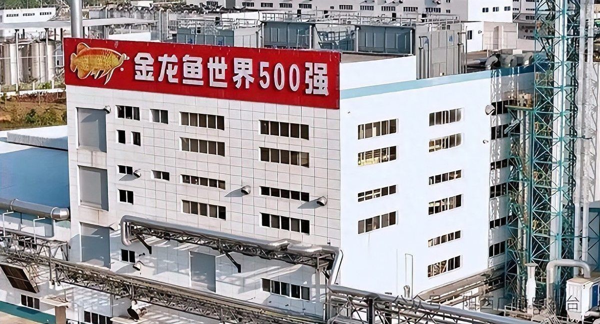 金龍魚如何應對2024年的信任危機？