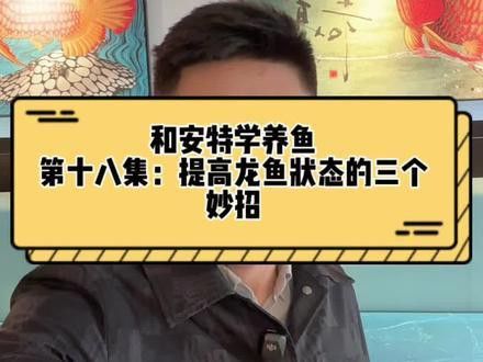 印尼紅龍魚怎么養才紅眼睛視頻講解