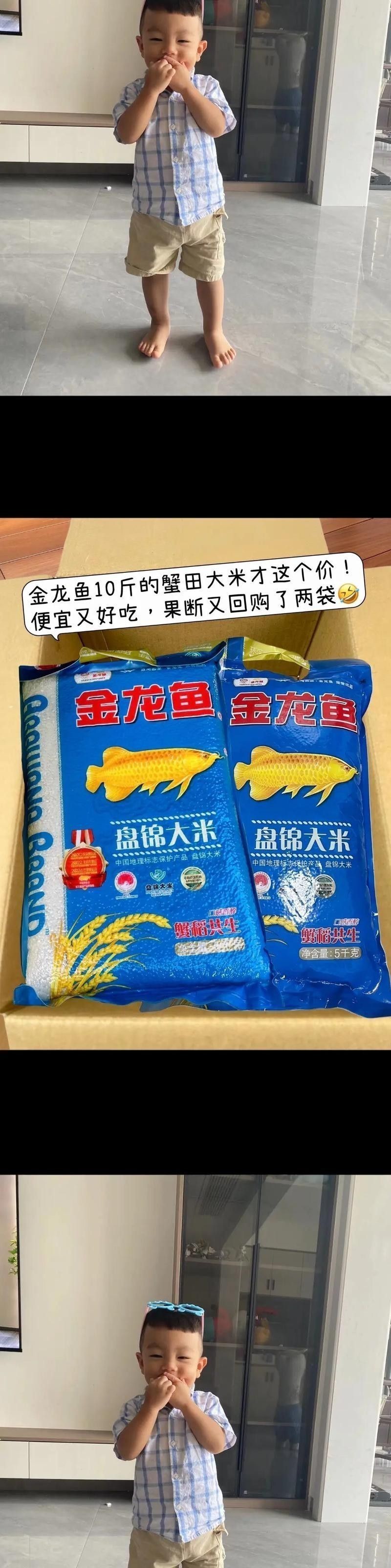 金龍魚5千克盤錦米圖片