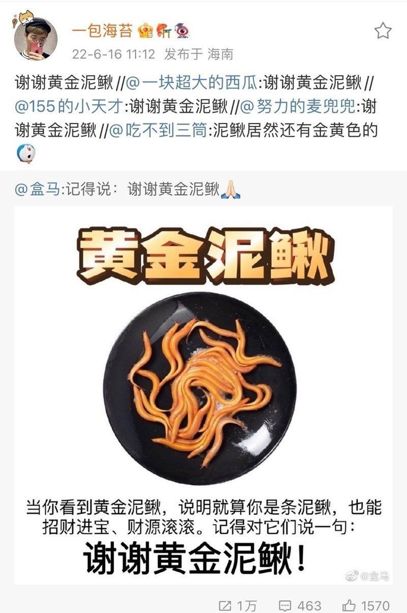金色泥鰍寓意和象征