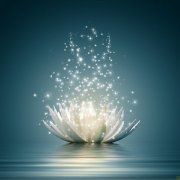 金色泥鰍寓意和象征