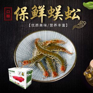 龍魚口糧：龍魚口糧選擇對其生長、健康和飼養難度都有重要影響 龍魚口糧：龍魚口糧選擇對其生長、健康和飼養難度都有重要影響 龍魚百科 第2張