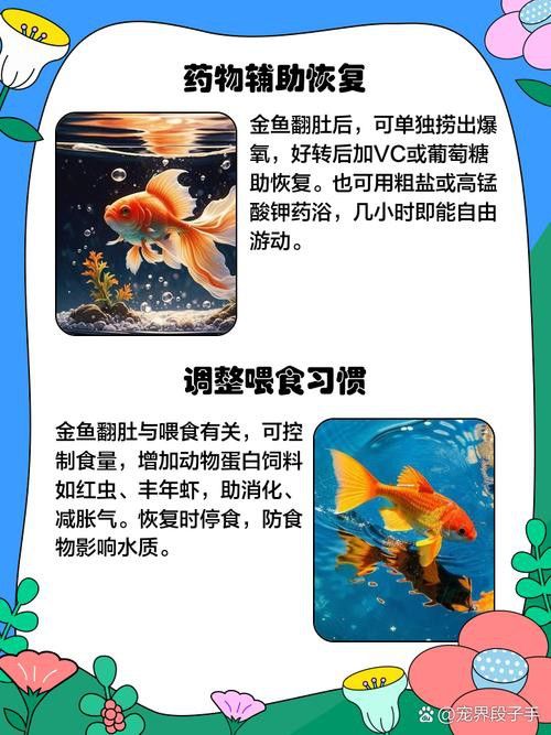 金龍魚翻白了怎么辦