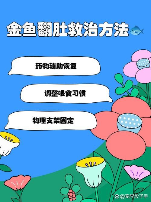 金龍魚翻白了怎么辦