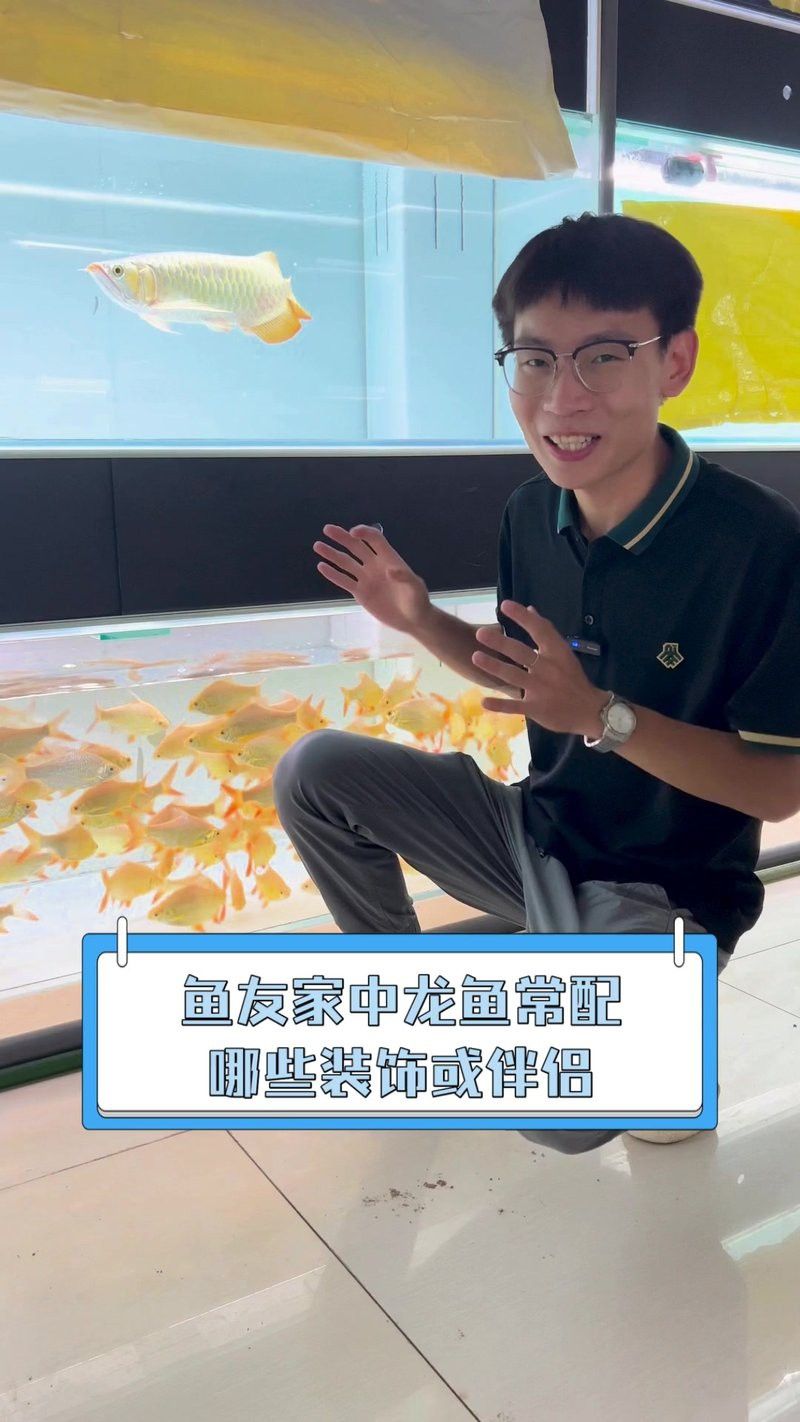 龍魚鎮宅需要哪些搭配