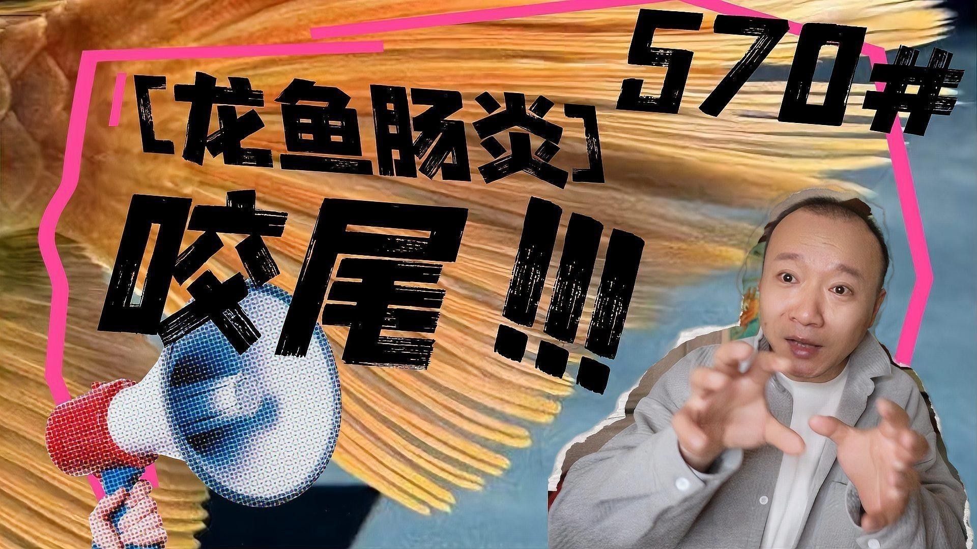 如何預防龍魚再次咬尾？
