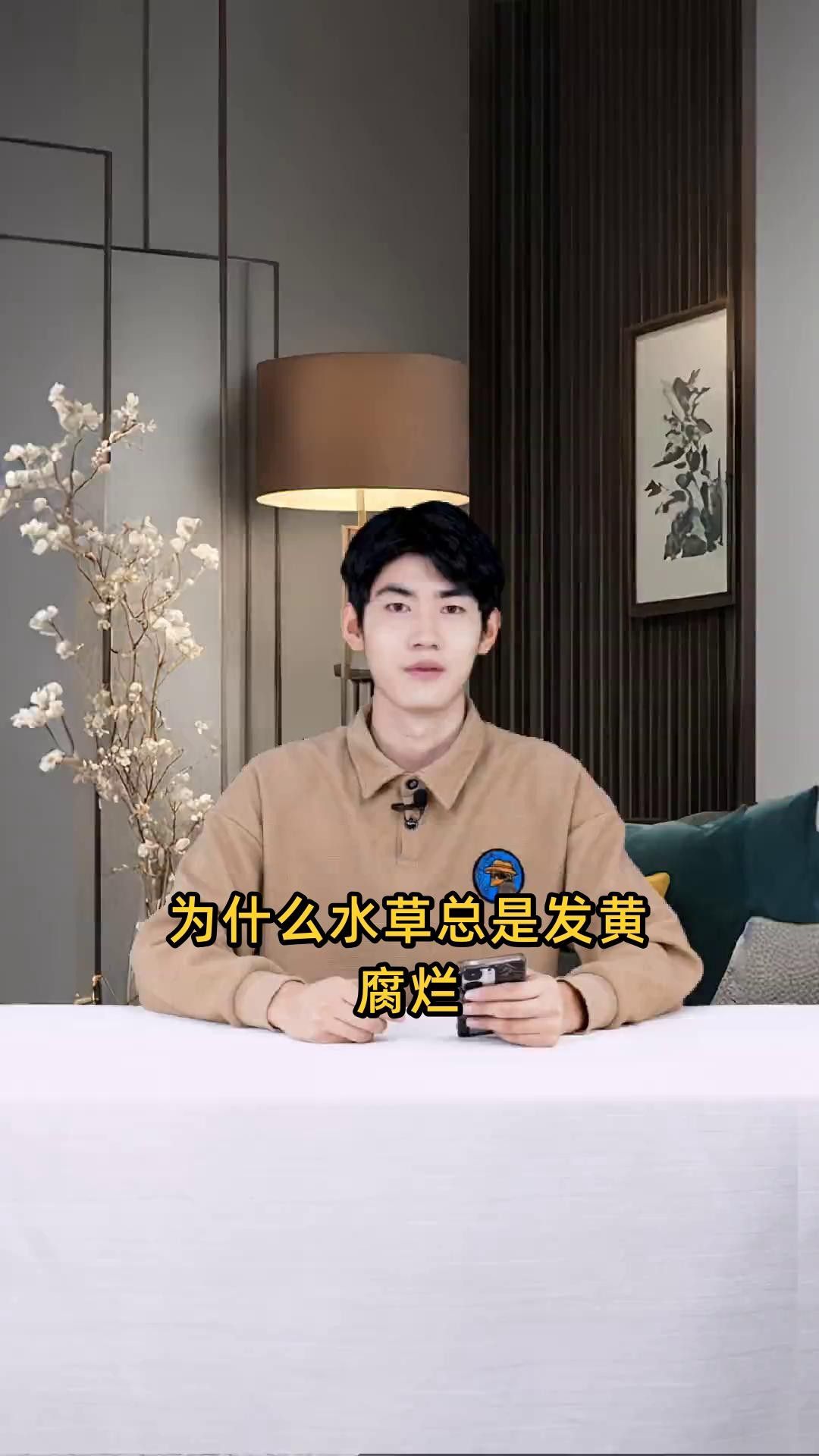 龍魚缸里可以放植物嗎？
